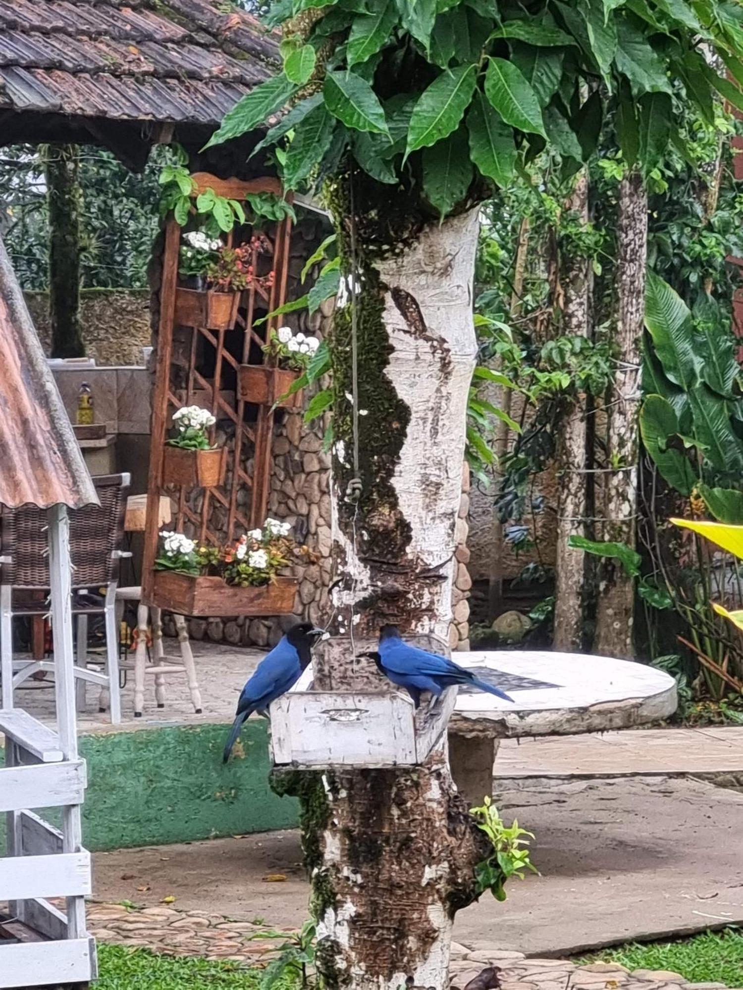 Pousada Siroba Beira Rio Apartment Morretes Bagian luar foto